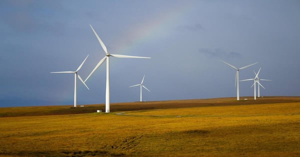 verified carbon credits