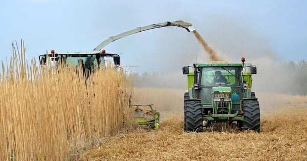 biomass harvesting for sustainable biofuels