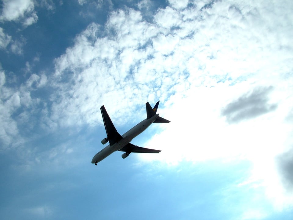 carbon offsets for aviation